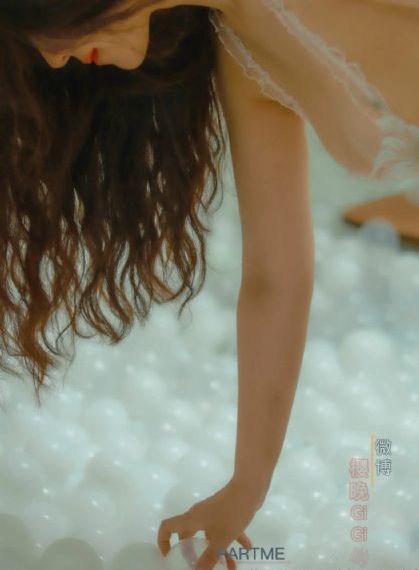 血与骨2 永不退缩